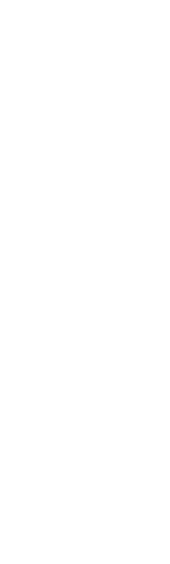 Flower 2